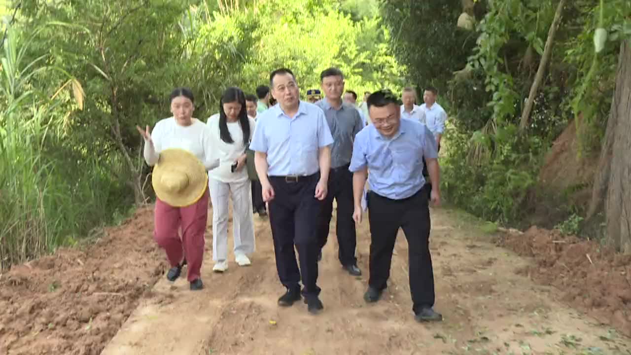 何世林一行来我县督导安全防范工作
