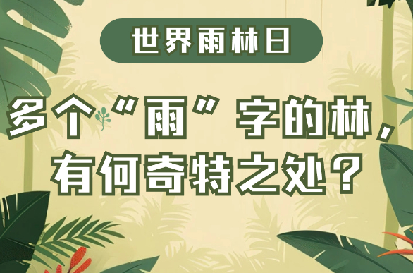 世界雨林日｜多个“雨”字的林，有何奇特之处？