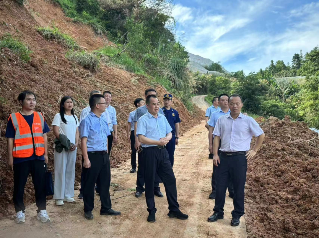 何世林一行来我县督导安全防范工作